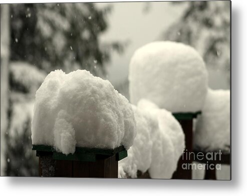 Snow Metal Print featuring the photograph Snowy Posts by Leone Lund