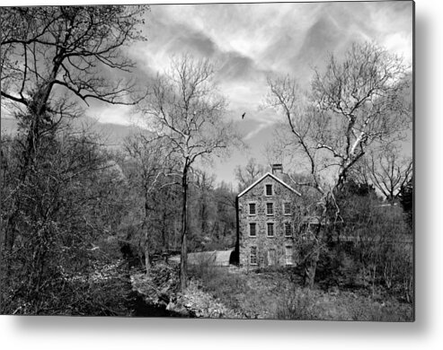 New York Botanical Gardens Metal Print featuring the photograph Snuff by Diana Angstadt