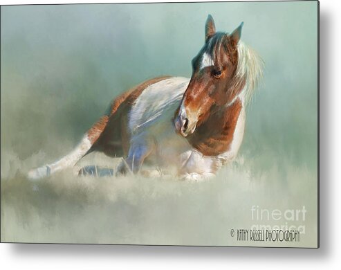 Spots Metal Print featuring the photograph Soaking up Some Sun by Kathy Russell