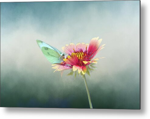 Isolated Metal Print featuring the digital art Soft Landing by Terry Davis