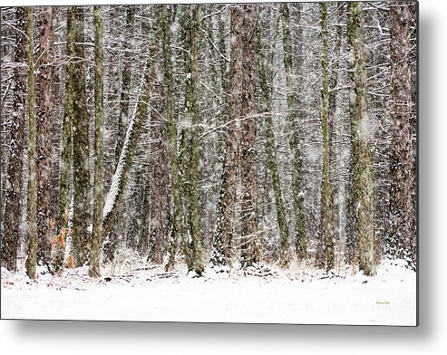Winter Metal Print featuring the photograph Winter Solitude by Christina Rollo