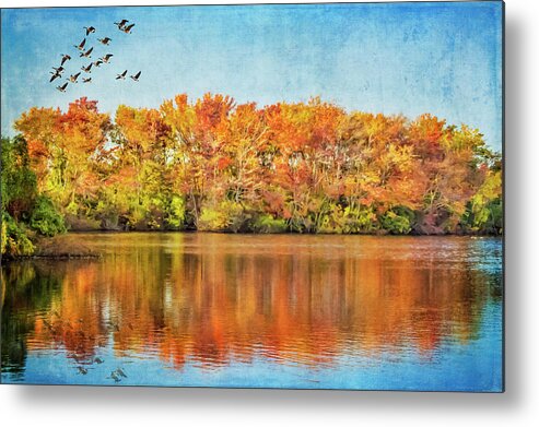 Autumn Metal Print featuring the photograph Southbound by Cathy Kovarik