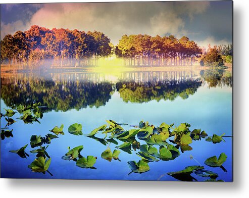 Clouds Metal Print featuring the photograph Southern Beauty by Debra and Dave Vanderlaan