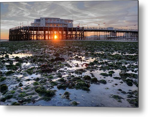 Worthing Metal Print featuring the photograph Southern Pavilion Glow by Hazy Apple
