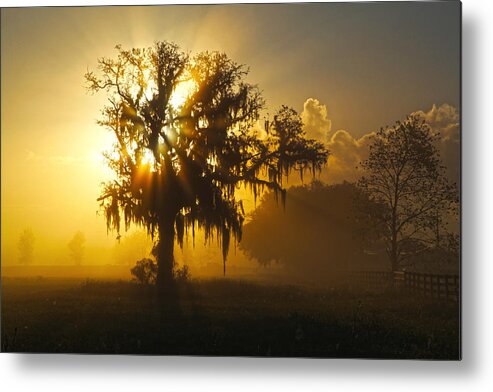 Spanish Metal Print featuring the photograph Spanish Morning by Robert Och