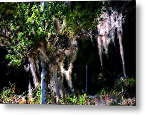 Spanish Moss Metal Print featuring the photograph Spanish Moss by Gina O'Brien