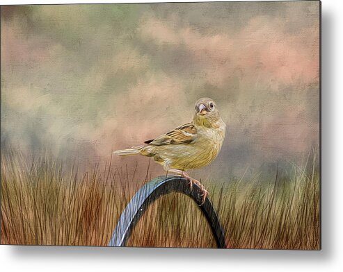 Sparrow Metal Print featuring the photograph Sparrow in the Grass by Cathy Kovarik