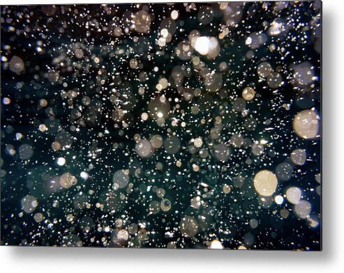 Speckle Metal Print featuring the photograph Speckled by Christopher Johnson