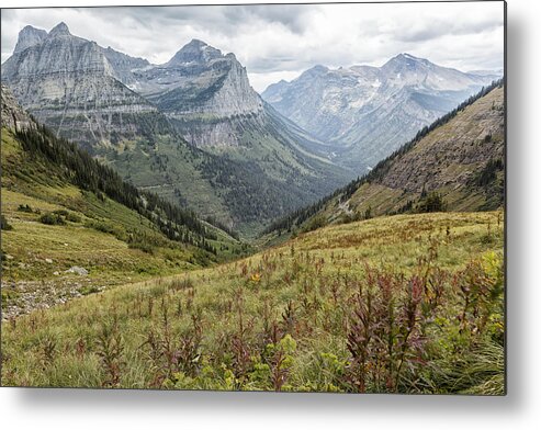 Highline Trail Metal Print featuring the photograph Splendor from Highline Trail - Glacier by Belinda Greb