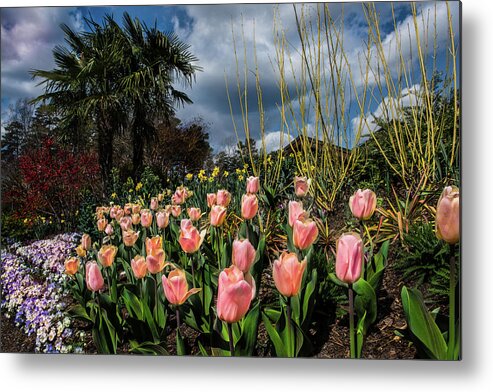 Spring Metal Print featuring the photograph Spring At Duke Gardens by Cynthia Wolfe