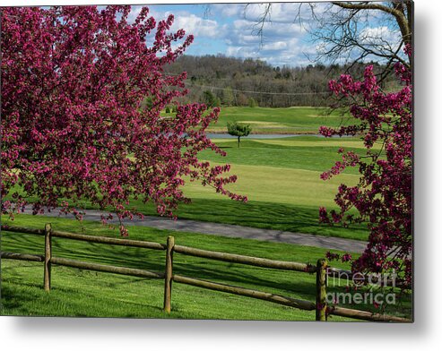 Golf Course Metal Print featuring the photograph Spring Beauty At Rivercut by Jennifer White
