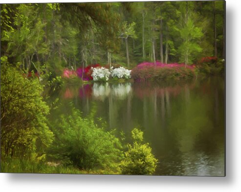 Landscape Photography Metal Print featuring the photograph Spring Daze by Mary Buck