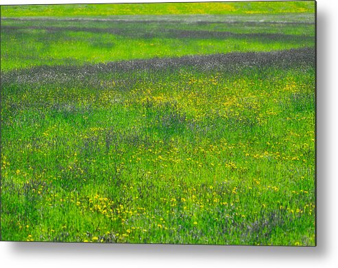 Spring Metal Print featuring the photograph Spring Field Colours by Irwin Barrett