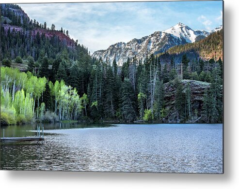 Spring Metal Print featuring the photograph Spring Green by Angela Moyer