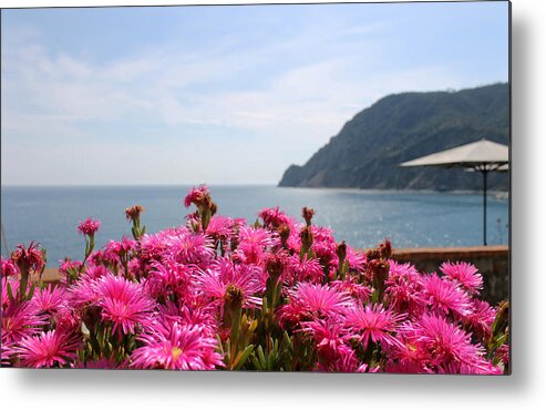 Spring Metal Print featuring the photograph Spring in Cinque Terre by Christine Buckley
