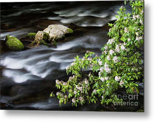 Mountain Metal Print featuring the photograph Spring on the Oconaluftee River - D009923 by Daniel Dempster