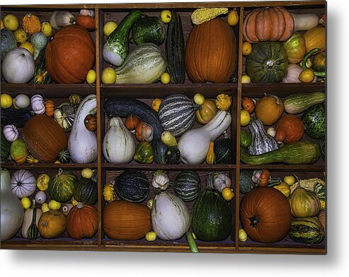 Gourds Metal Print featuring the photograph Squash And Gourds In Compartments by Garry Gay