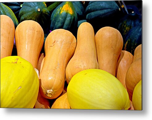 Squashes Metal Print featuring the photograph Squashes by Robert Meyers-Lussier