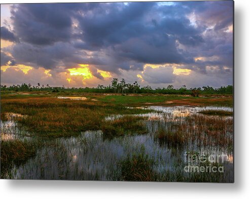 Storm Metal Print featuring the photograph Srormy Marsh at Pine Glades by Tom Claud