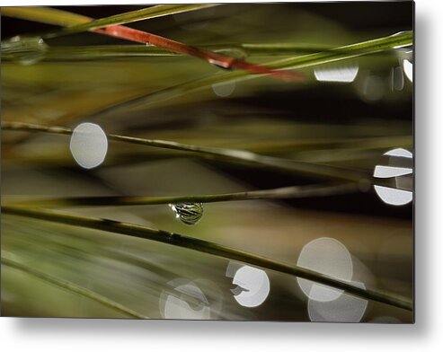 Water Drop Metal Print featuring the photograph Stability Among Chaos by Mike Eingle