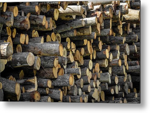 Timber Metal Print featuring the photograph Stacked by Brian Stevens