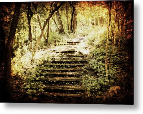 Path Metal Print featuring the photograph Stairway to Heaven by Julie Hamilton