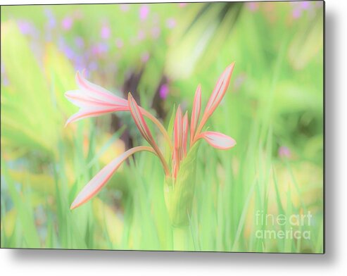 Flowers Metal Print featuring the photograph Stand out by Merle Grenz