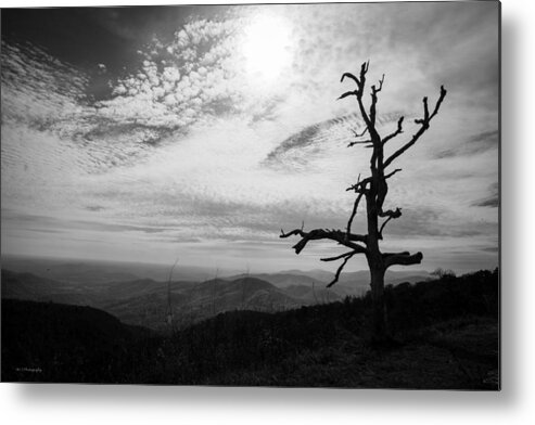 Black Metal Print featuring the photograph Standing by Ross Henton