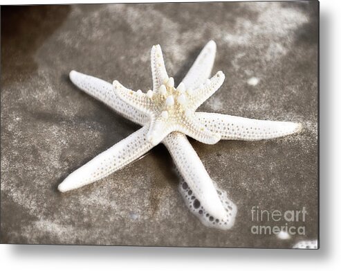 Star Fish Metal Print featuring the painting Starfish and Bubbles by Constance Woods