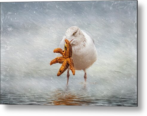 Coastal Metal Print featuring the photograph Starfish For Dinner by Cathy Kovarik
