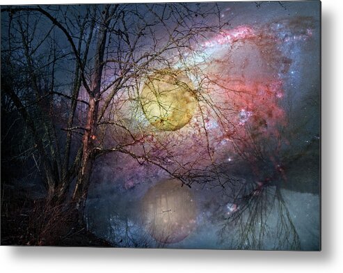 Appalachia Metal Print featuring the photograph Stars in the Forest by Debra and Dave Vanderlaan