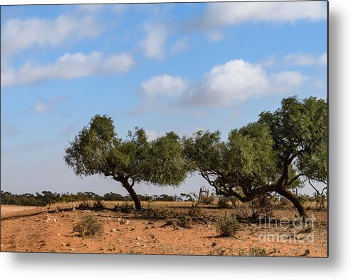 Landscape Metal Print featuring the photograph Station Boundary by Werner Padarin