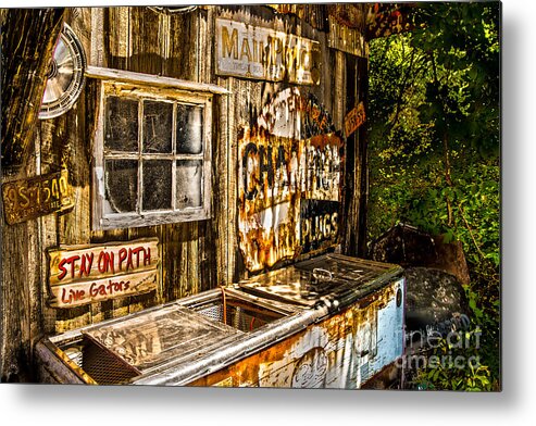 Cooler Metal Print featuring the photograph Stay on the Path by William Norton