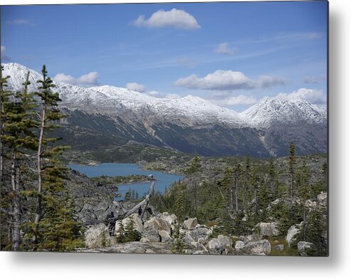 Stikine Mountains Metal Print featuring the photograph Stikine Mountains 14 by Richard J Cassato