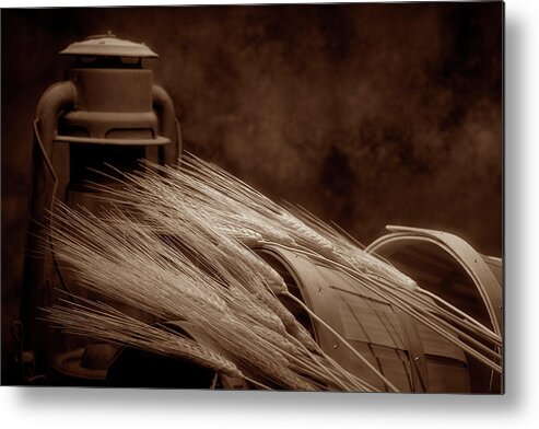 Wheat Metal Print featuring the photograph Still Life with Wheat I by Tom Mc Nemar