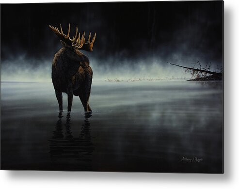 Moose Metal Print featuring the painting Stillwater by Anthony J Padgett
