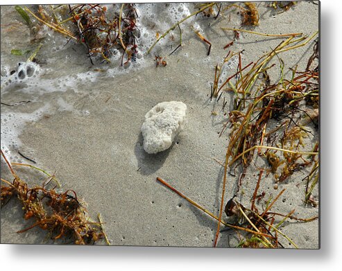 Stone Metal Print featuring the photograph Stone at the Shore - South Beach by Frank Mari