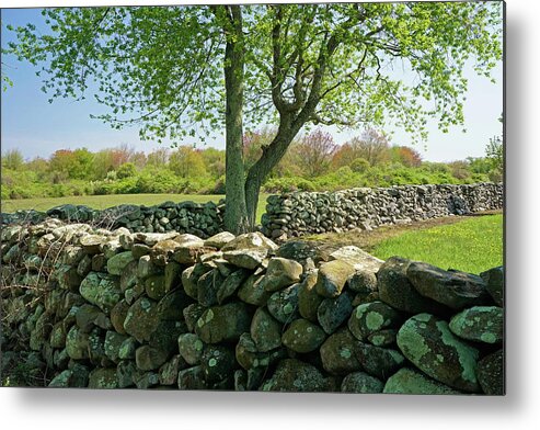 Stone Wall Metal Print featuring the photograph Stone Wall in Rhode Island by Nancy De Flon