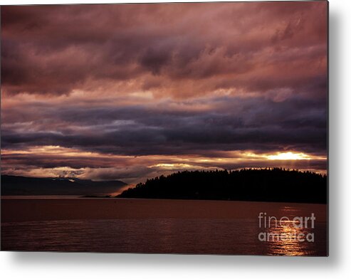  Metal Print featuring the photograph Storm 3 by Elaine Hunter