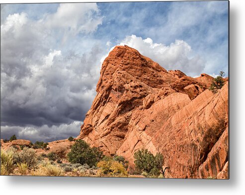 Petrified Sand Dune Metal Print featuring the photograph Stormy Desert Afternoon by Kathleen Bishop