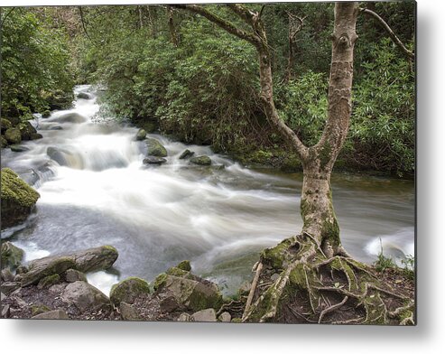 Original Metal Print featuring the photograph Stream below Torc Waterfall Killarney National Park by WAZgriffin Digital