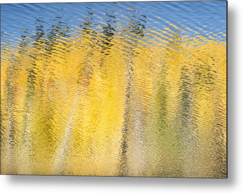 Abstract Metal Print featuring the photograph Striking Gold by Denise Bush