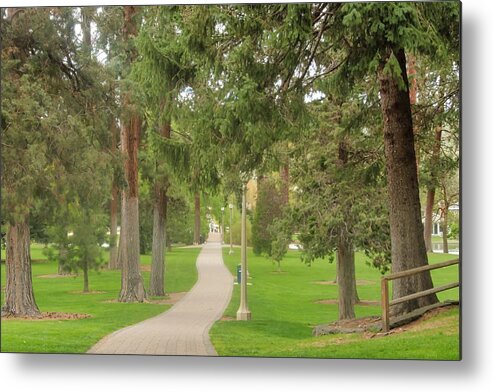 Walk Metal Print featuring the photograph Stroll by Brian Eberly
