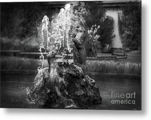 Chester Zoo Fountain Lawn Metal Print featuring the photograph Stunning Chester Zoological Gardens by Doc Braham