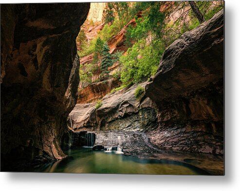 Zion Metal Print featuring the photograph Subway Canyon by Dave Koch