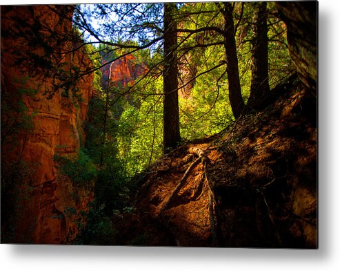 Outdoor Metal Print featuring the photograph Subway Forest by Chad Dutson