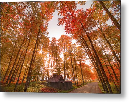 Sugarhouse Metal Print featuring the photograph Sugarhouse Rd on Foggy Morning by Tim Kirchoff