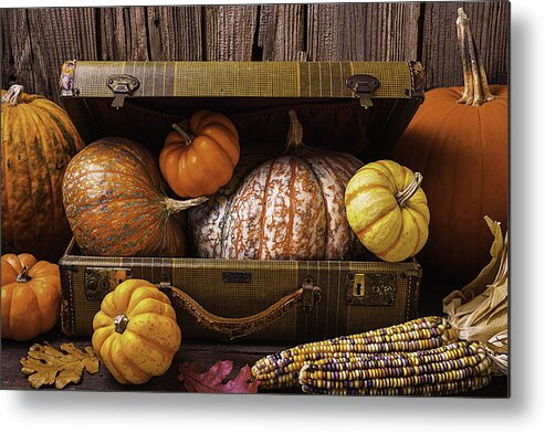 Colorful Metal Print featuring the photograph Suitcase Full Of Pumpkins by Garry Gay