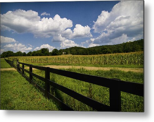 Bucks Metal Print featuring the photograph Summer in the Country by Patricia Montgomery