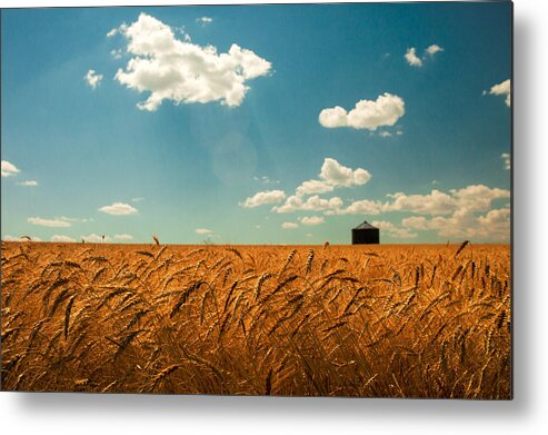 Landscape Metal Print featuring the photograph Summer Respit by Todd Klassy